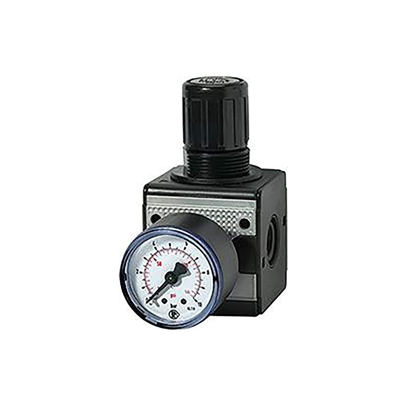 RIEGLER Multifix 100421-R 12-10 Pressure Regulator with Pressure Gauge, BG