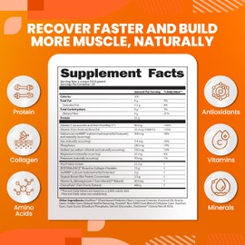 SaltWrap Protein Clinic – Total Body Recovery Shake with Collagen Peptides, HMB, Tart Cherry Extract, Pea Protein Isolate and Prebiotic Fiber for Joints & Muscle Recovery - Creamy Chocolate Fudge