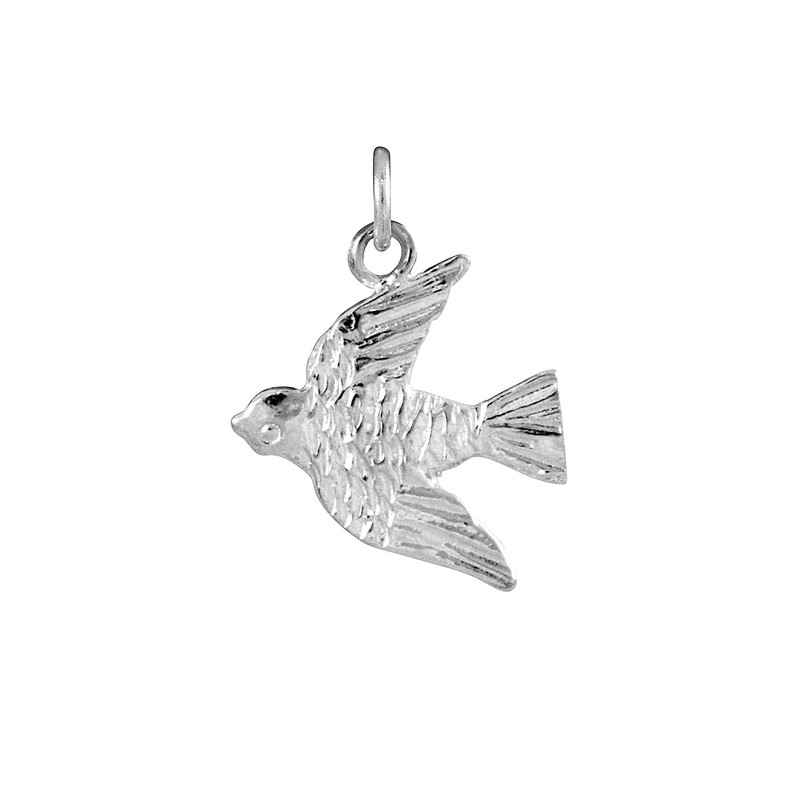 jewellerybox Sterling Silver Swift Charm