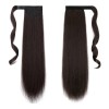 Coleta Postiza Cabello Lacio Caballo Natural Extensiones