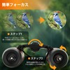 ToopMount 30x60 Binoculars Compact Prism Binoculars Folding Portable Telescope with
