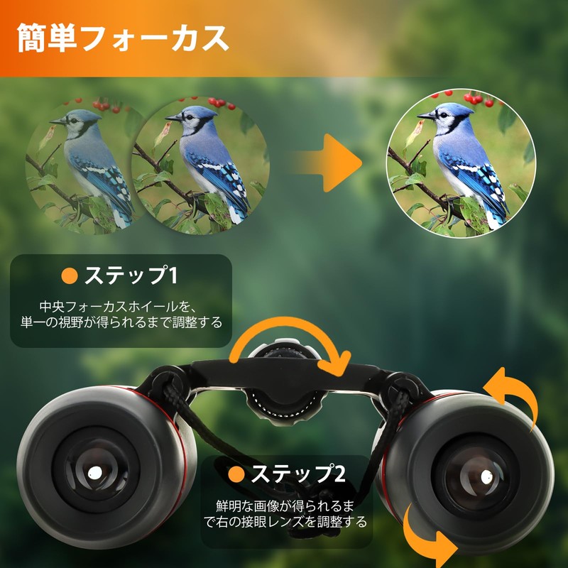 ToopMount 30x60 Binoculars Compact Prism Binoculars Folding Portable Telescope with