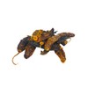 Dried Aji Amarillo Pepper (Chile Amarillo) WT: 2 oz, 4
