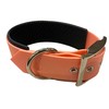 BioThane Padded Dog Collar Large Width Choice of Colours (Neck