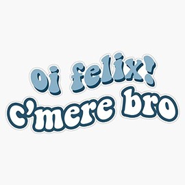 bangchan oi felix! c'mere bro Bumper Sticker Vinyl Decal 5 inches