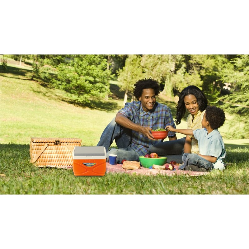 Pinnacle 4.5-11 Liter Insulated Cooler Lunch Box Set Portable Camping/Picnic