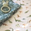 aden + anais™ essentials cotton muslin 2 pack swaddle blanket