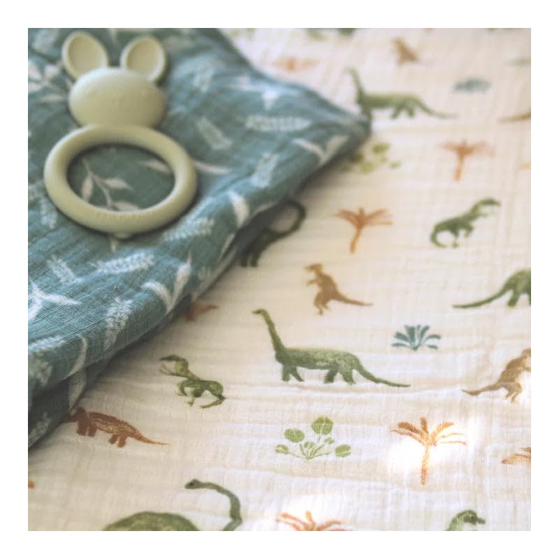 aden + anais™ essentials cotton muslin 2 pack swaddle blanket