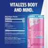 1x Pink Edition Wild Berries Raspberry 12 Oz Can Sugarfree