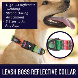 Leashboss Patterned Reflective Dog Collar, Pattern Collection, Colorful Dog Collar with Triple Reflection Threads for Small, Medium and Large Dogs