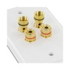 Selby Budget 2 Speaker Cable Wall Plate Wallplate DIY Home