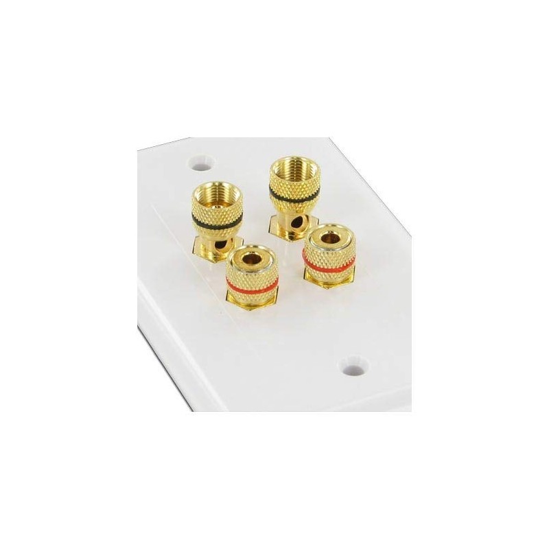 Selby Budget 2 Speaker Cable Wall Plate Wallplate DIY Home