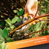 GRÜNTEK Bypass Secateurs Woodpecker, Allround Comfort Gardening Pruning Shears/Scissors with