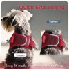 Eagloo Small Dog Harness and Leash Set, Step in Puppy