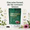 MISSECO 21 Pflanzen Komplex Löwenzahn Echinacea Klette 240 Softgel Kapseln