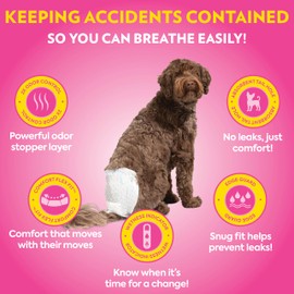 OUT! PetCare Disposable Dog Diapers Female, Potty Training, Dog Diapers, Female Doggie in Heat, Puppy Training, Incontinence, Puppy Essentials 18”-25” Waist (M/L, 32ct)