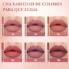6 PCS Lápiz Labial Mate, Labiales, Lápiz Labial Mate de