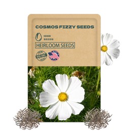 Cosmos Fizzy White Seeds-Friendly Flower Seeds