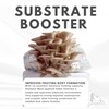 97% Pure Gypsum Powder – High Solubility Calcium Sulfate Dihydrate