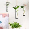 MIPON Plant Propagation Stations,Hanging Glass Propagation Test Tube Vases for