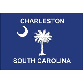 Charleston, South Carolina Flag, SC, Palm Tree, Souvenir Magnet 2 x 3 Fridge Magnet