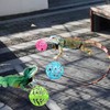 6 Pack Bearded Dragon Toy Bell Balls, Reptile Lizard Toy
