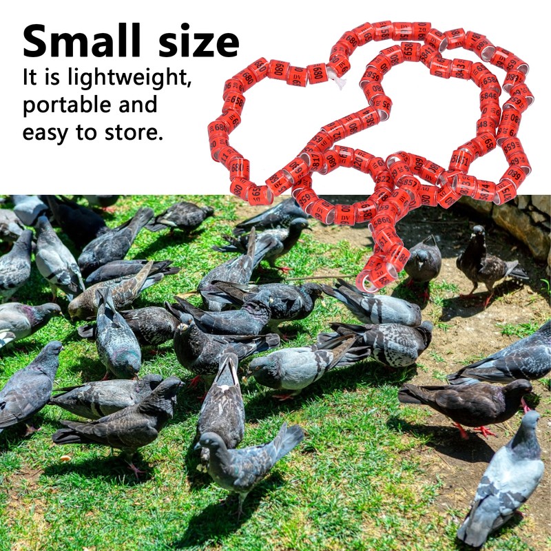 100Pcs 8mm Pigeon Leg Bands Aluminum Alloy Non Competition Recognizable