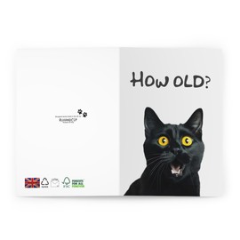 Funny Cat Birthday Card - How Old? - 6 x 8 Inch - Made in UK - Includes White Envelope - Blank Inside - Sustainable Materials