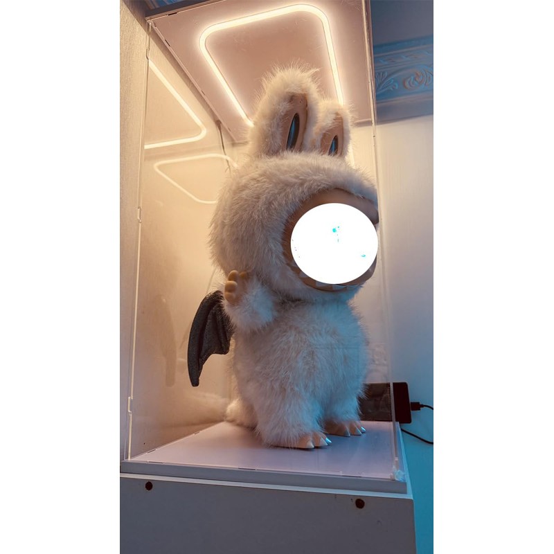 Acrylic Display Case with LED Light Top for Collectibles