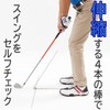 Daiya Golf Swing Master 463 TR-463 Swing Practice Machine, Multi-Practice