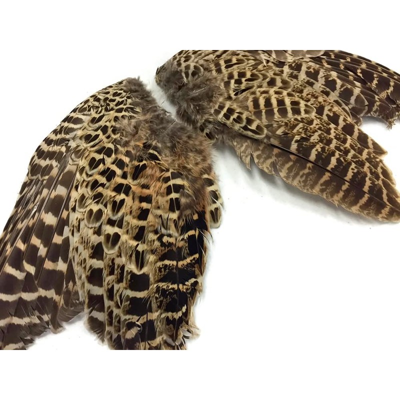 1 Pair - Natural Ringneck Pheasant Hen Whole Wing Feather
