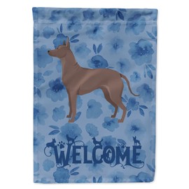 Caroline's Treasures CK6274CHF Mexican Hairless Dog Xolo Welcome House Flag Large Porch Sleeve Pole Decorative Outside Yard Banner Artwork Wall Hanging, Polyester, House Size, Multicolor