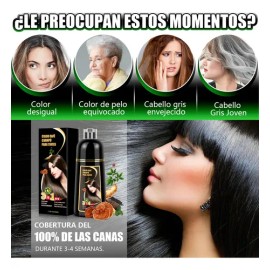 Shampoo Tinte Instantaneo Cubre Canas Extracto Plantas 500ml                                                                                          