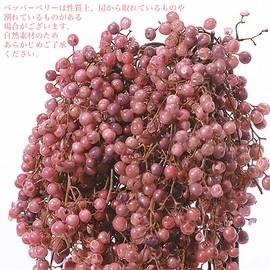 Daichi Farm DO003380-100 Preserved Flowers, Pepperberry, Preserved, Pink, Approx. 9.8 - 11.8 inches (25 - 30 cm), 1.2 oz (55 g)