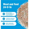 The Andersons Premium Weed and Feed 24-0-16 - Covers up
