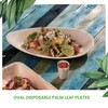 Canape King 25x Palm Leaf Oval Plates - Eco-Friendly Biodegradable
