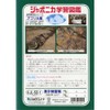 Showa B5 JL-48 Notebook, Japonica Study Book, Kanji Practice, 50