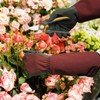 dellyy Gartenhandschuhe für Damen und Herren (Rot)