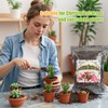 Doter Christmas Cactus Potting Soil Mix 2qt, Ideal for Succulents,