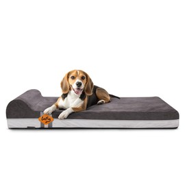 Laifug Orthopedic Memory Foam Extra Large Dog Bed with Pillow and Durable Water Proof Liner & Removable Washable Cover & Smart Design (Large (40"x25"x6"), Grey)