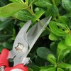 Jütze Bypass Pruning Shears, Flower Cutting Scissors, Gardening Shears, For