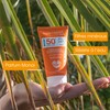 Alphanova Sun Sun Cream Face Ecologically Responsible SPF50+ Organic 50
