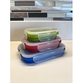 Roaming Cooking Collapsible Silicone Food Storage Container Combo pack (Multi Color)