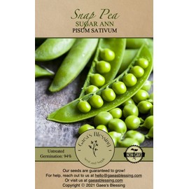 Gaea's Blessing Seeds - Snap Pea Seeds - Sugar Ann - Non-GMO Seeds for Planting with Easy to Follow Instructions 94% Germination Rate (Pack of 1)