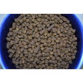 ABF Gourmet Soft BITS 4.0mm - Salt & Freshwater Fish Food (4oz)