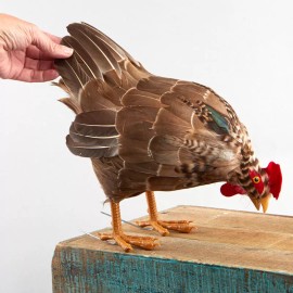 Brown Feathered Feeding Artificial 14" Hen with Attached Wires on Feet