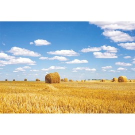 Xiaoterna 7x5ft Fall Farm Harvest Backdrop Farmland Harvest Blue Sky White Clouds Photography Background Birthday Party Decoration Kids Adults Portrait Photo Shoot Studio Props Suppliers