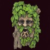 Fiesta Studios Merlin the Tree Ent Face Plaque for Garden