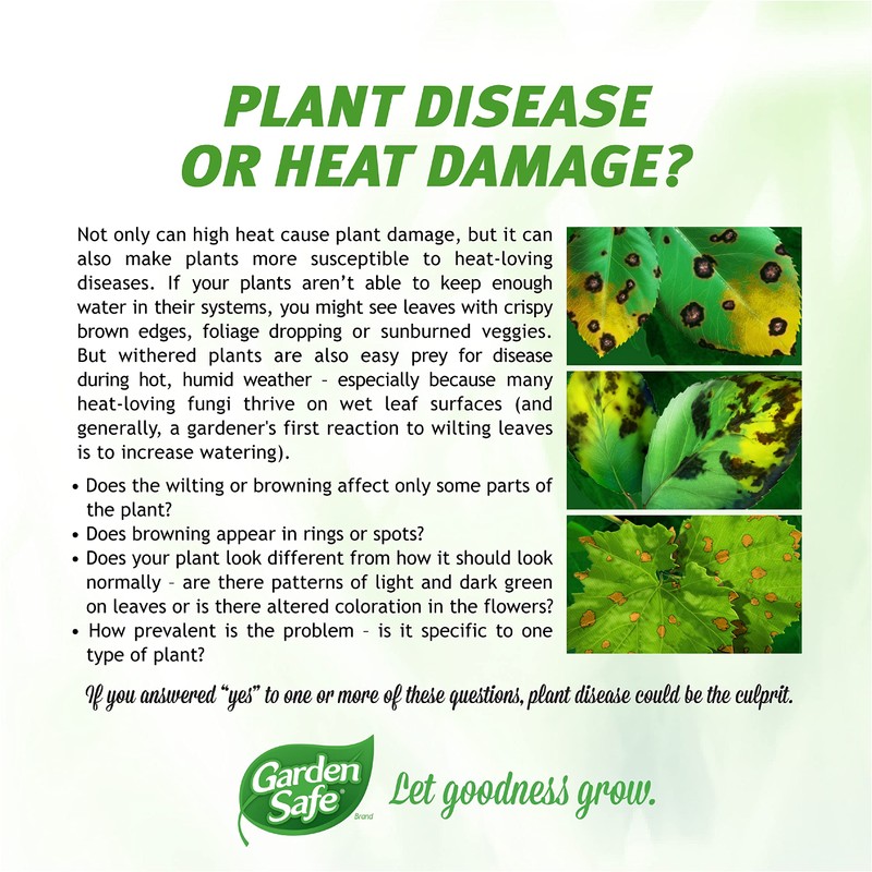 Garden Safe Brand Fungicide3, Ready-to-Use, 24-Ounce