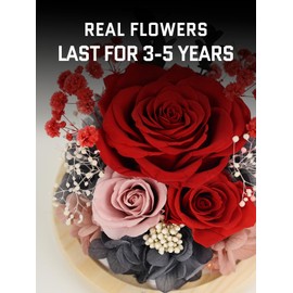 FIACO Gifts for Women Preserved Flowers Eternal Rose in Glass Dome with LED Light, Womens Gifts for Christmas Birthday Gifts Forever Flowers Roses Gifts for Mom Grandma Wife Sister-Red